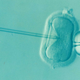 Image: DrKontogianniIVF